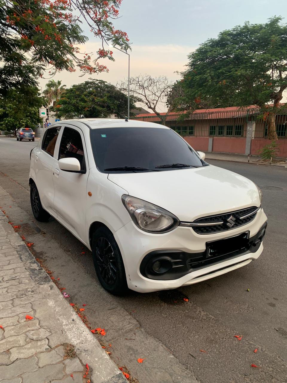 *AMARRO SUZUKI CELERIO