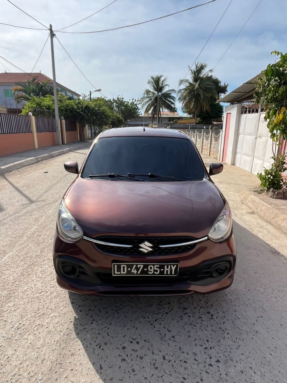 Suzuki celeiro Genuíno