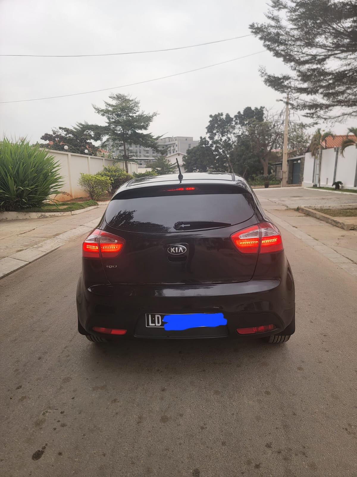 Kia Rio